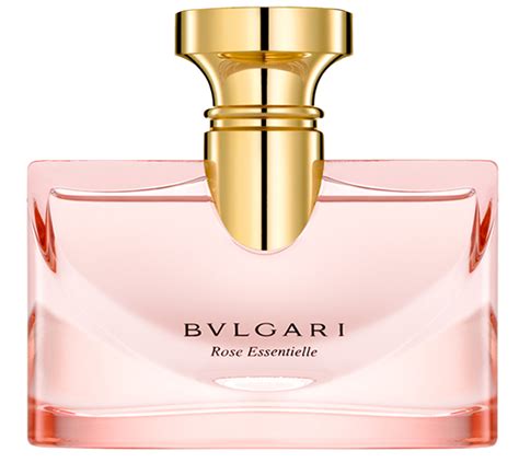 BVLGARI rose review